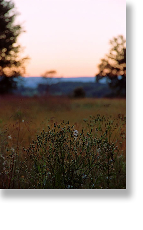sunset in fall field